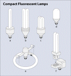 Compact fluorescent lamps (CFLs)