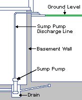 Diagram of Common Sites of Mold